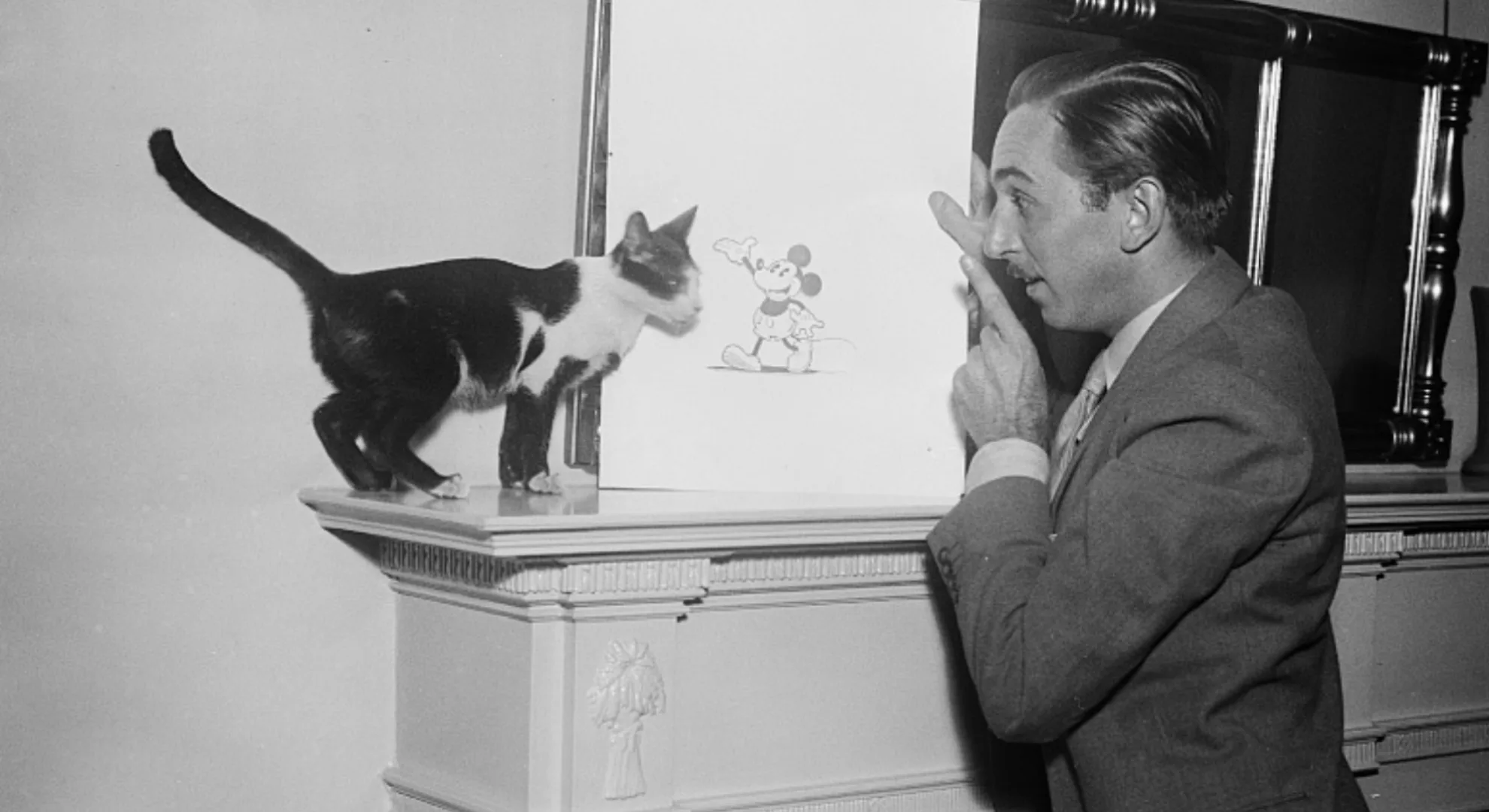 Walt Disney devant un dessin de Mickey Mouse. - Harris & Ewing / Domaine Public
